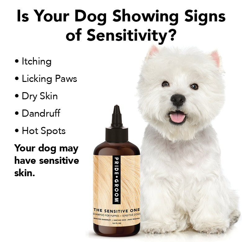THE SENSITIVE ONE
