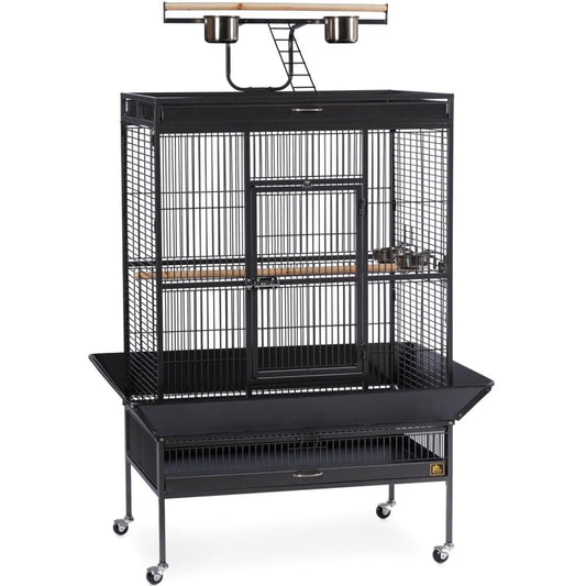 Select Wrought Iron Play Top Parrot Cage