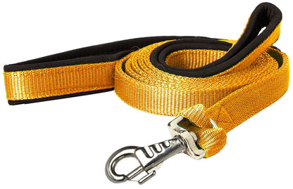 Padded Double Handle Dog Leash w Warranted Snap Design 3/4" x 6'