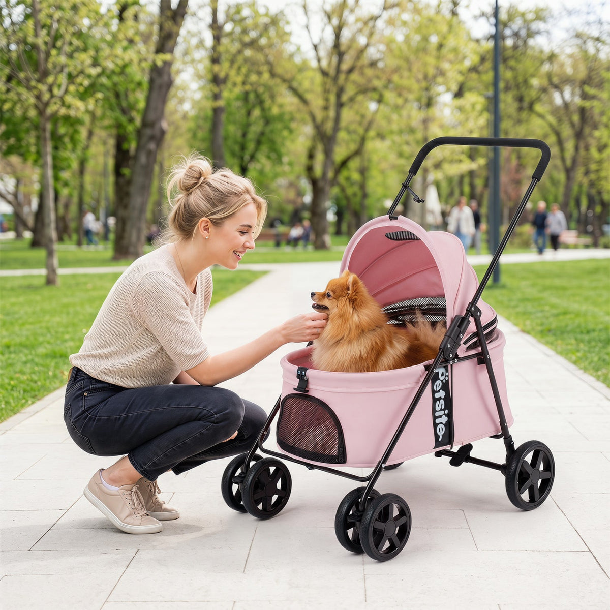 Foldable Pet Stroller for Small to Medium Dogs with Brake