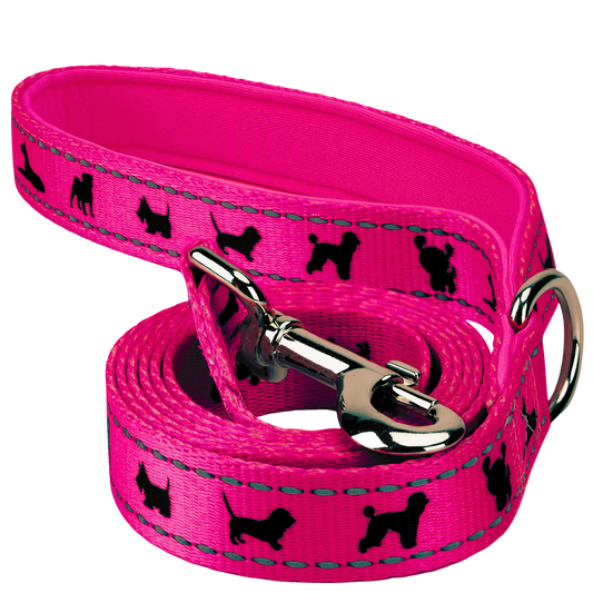 Pink Dog Leash by EcoBark - Padded Comfort Grip Leash - 4ft, 5ft, and 6ft Leash for Teacup, Small, and Medium Dogs