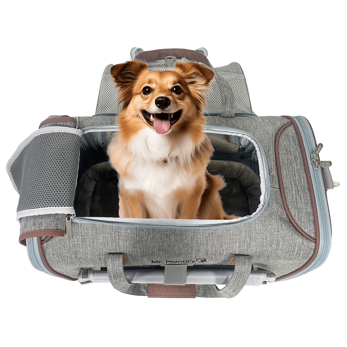Mr. Peanut's Gold Series Big Apple XL Expandable Pet Carrier V3.0