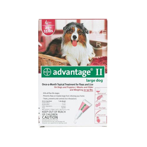 Flea Control for Dogs And Puppies