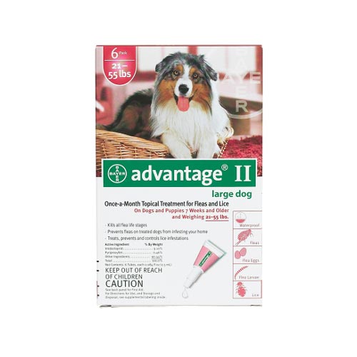 Flea Control for Dogs And Puppies