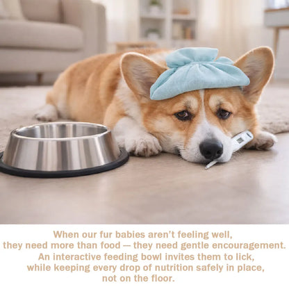 Anti-Choking Slow Feeder Dog Bowl Non-Slip 3/4 Cup - Lick Toy for Liquid Treats Bone Broth Yogurt
