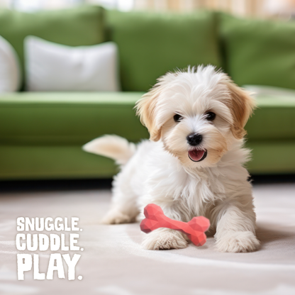 Snugz Craft
