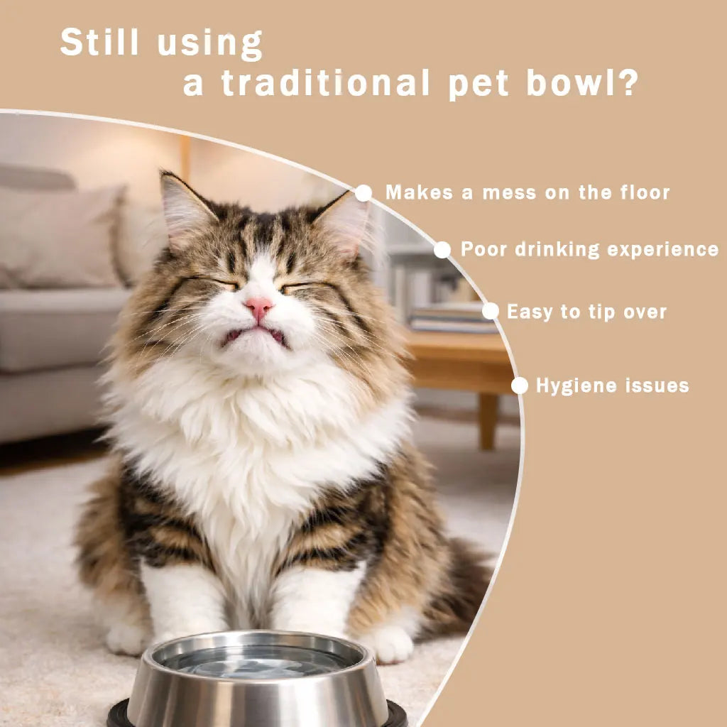Anti-Choking Slow Feeder Dog Bowl Non-Slip 3/4 Cup - Lick Toy for Liquid Treats Bone Broth Yogurt