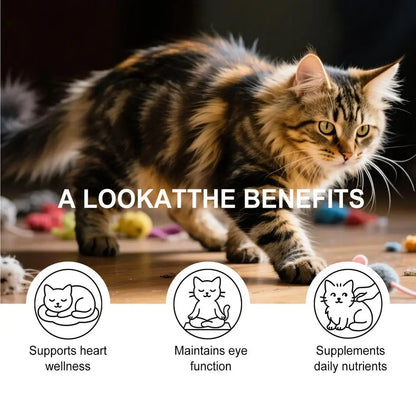 Cats Taurine Powder Gentle Formula Promote Healthy Growth Rich In Nutrients Cat Daily Care Supplements 200G