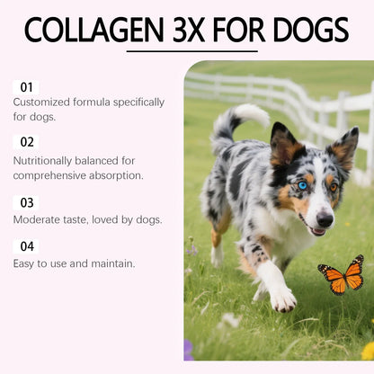 60ml Dog Collagen Drops Support Bone Joint Health Pet Hair Skin Care Dietary Supplement Mild Formula Pet Nutritional Solution