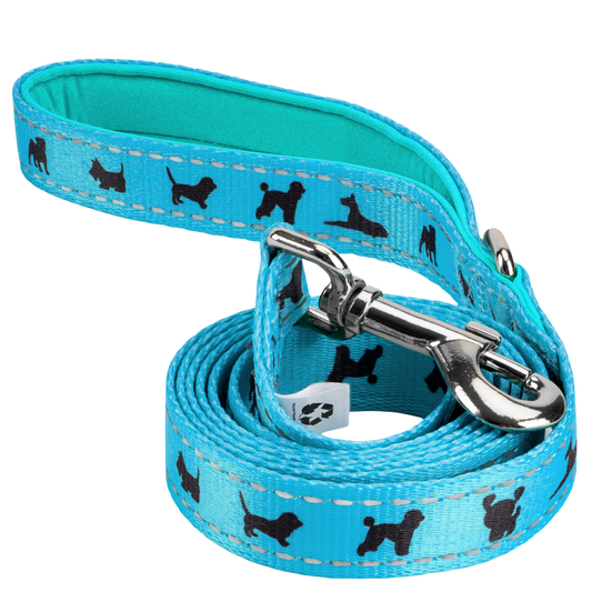 EcoBark Sky Blue Dog Leash- Padded Comfort Grip Padded Leash Dog Pattern - 4 Foot, 5 Foot, 6 Foot Leash for Small and Medium Dogs