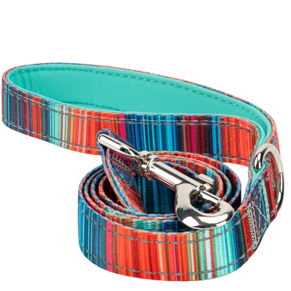 Stripe Dog Leash by EcoBark - Multicolor Padded Comfort Grip Leash - 4ft, 5ft, and 6ft Leash for Small and Medium Dogs