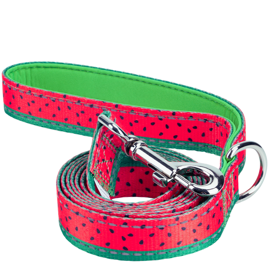 EcoBark Watermelon Dog Leash- Padded Comfort Grip Leash - 4ft, 5ft, and 6ft Leash for Small and Medium Dogs