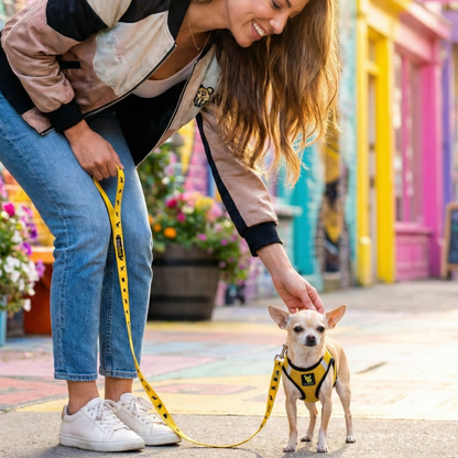 EcoBark Step In Dog Harness - XXXS to Small Breeds- Reflective Soft Mesh Harness for Teacup, Small Dogs and Puppies / Yellow Sport