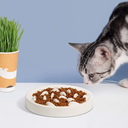 Dogs And Cats Slow Feeding Bowl Pet Bowl Cat Slow Tableware Feeder