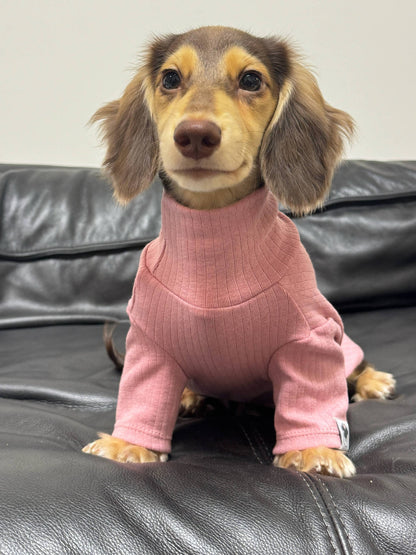 Pet Clothing Autumnwinter High-neck Base Vest