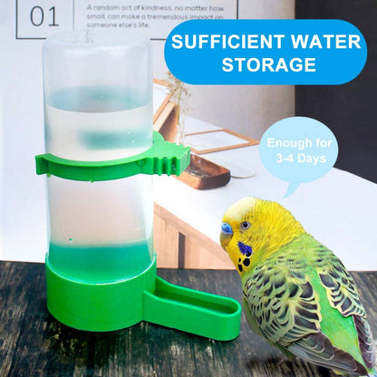 Automatic Bird Feeder & Water Dispenser