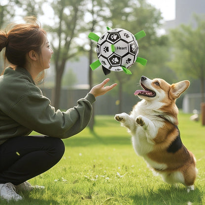 Dog Toy Ball For Chewing And Fetching