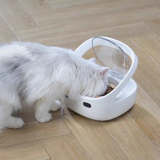 Smart Pet Feeder Prevent Stealing Accurate