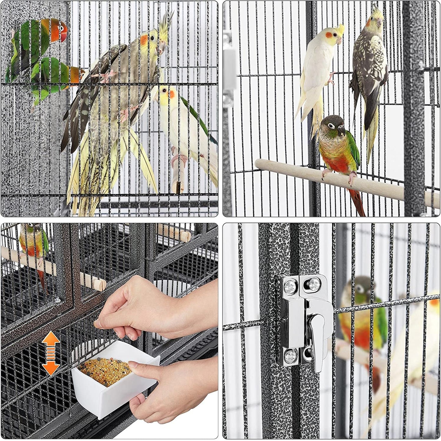 Divided Breeder for Bird