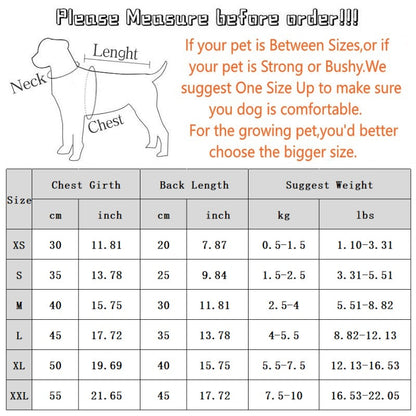 Autumn And Winter Dog Clothes, Color-blocking Hooded Cartoon Thin Sweatshirts, Small And Medium-sized Dog Teddy Vs. Panda Pet Clothing