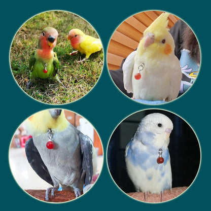 Parrot Bells Parrot Collar Necklace Parrot Decoration Parrot Scarf Clothes Budgerigar Peony Parrot Cockatiel Golden Sun Parrot