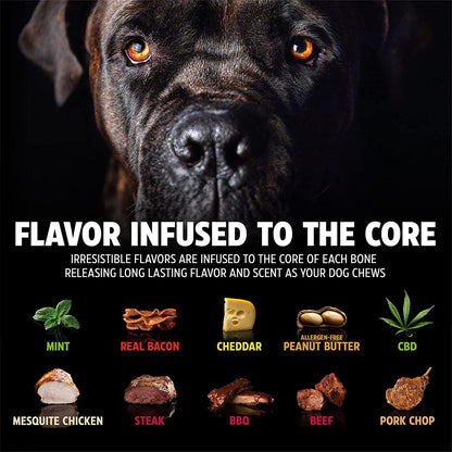 Nylon Dog Bone for Aggressive Chewers