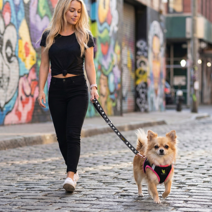 EcoBark Step In Dog Harness - XXXS to Small Breeds- Reflective Soft Mesh Harness for Teacup, Small Dogs and Puppies / Black w/ Pink Piping