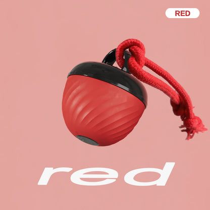 Smart Dog Cat Toy Ball Electronic Interactive Pet Toy Moving Ball Rope USB 3 Modes Automatic Moving Bouncing For Puppy Chew Products Pets Products