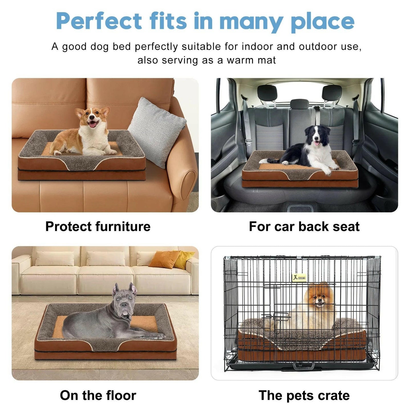 Best Orthopedic Dog Beds for Small Dogs