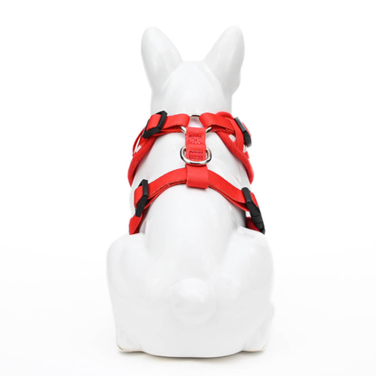 EcoBark Custom-Fit Harness & Leash Combo - Red Stripe