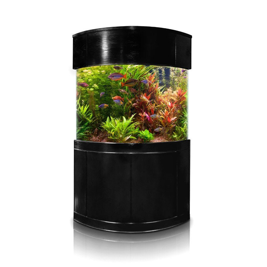 Glass Corner