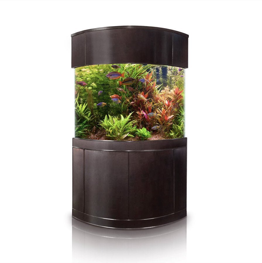 Glass Corner