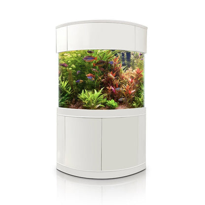 Glass Corner