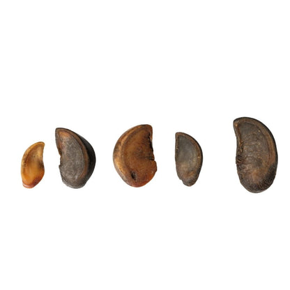 All-Natural Cow Hooves Dog Chews – Premium Crunchy Treats for Dental Health – (25/Case)