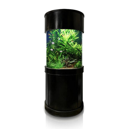 Glass Full Cylinder