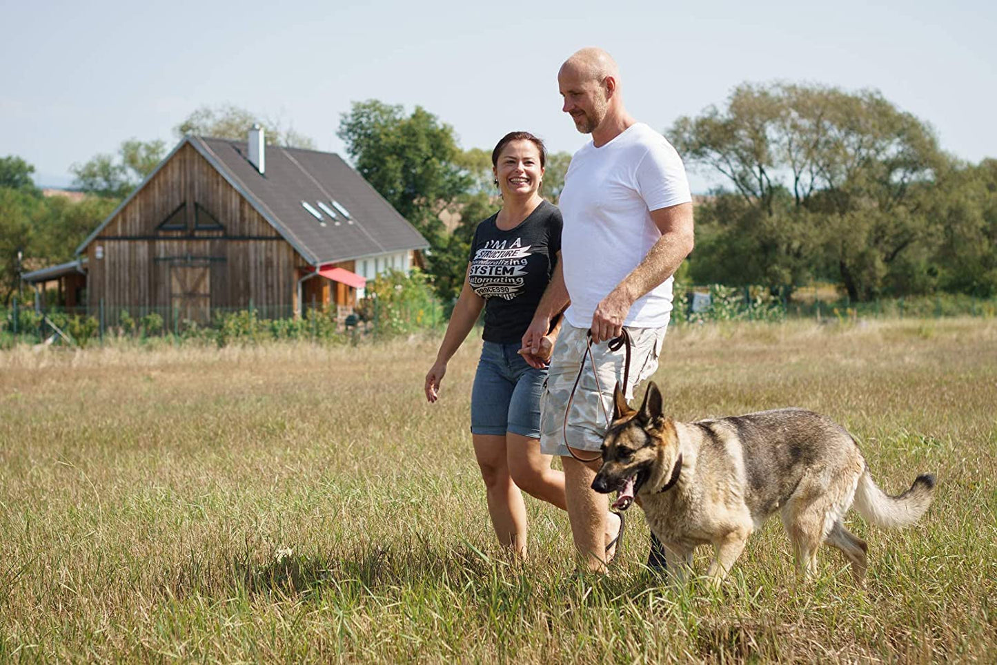 Leather Dog Training Leash - Brown 6 Foot