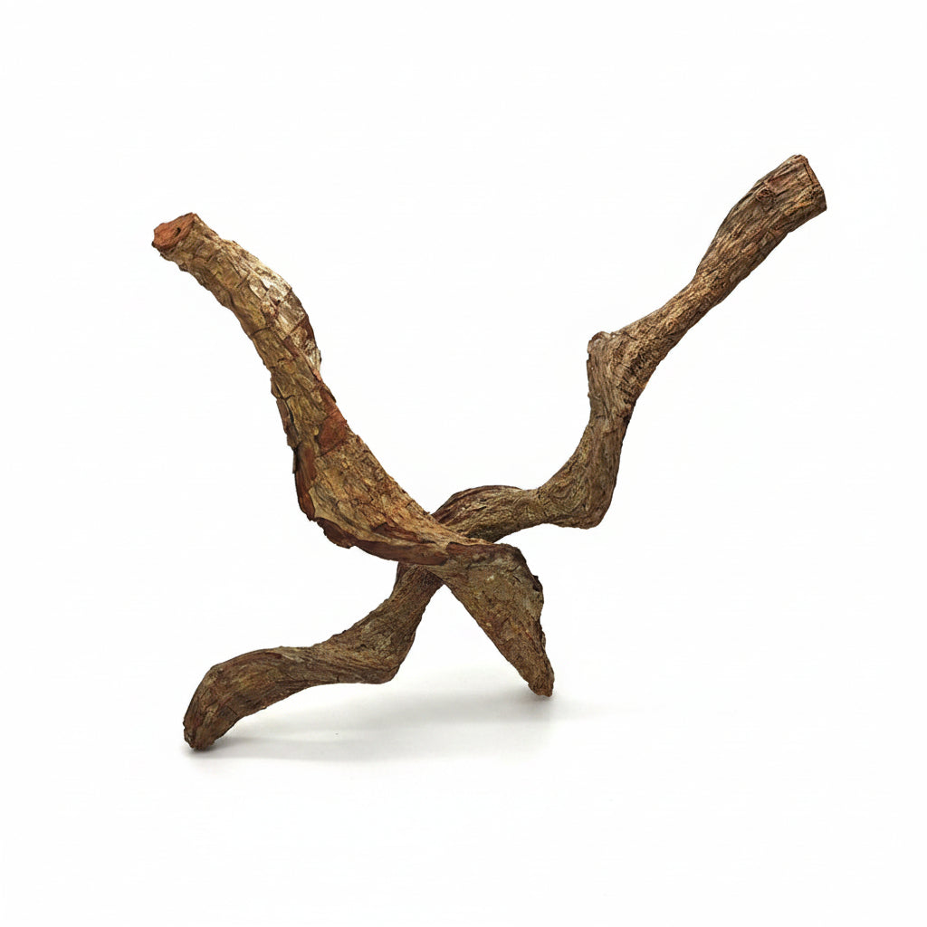 10" Natural Hardwood Liana Branch