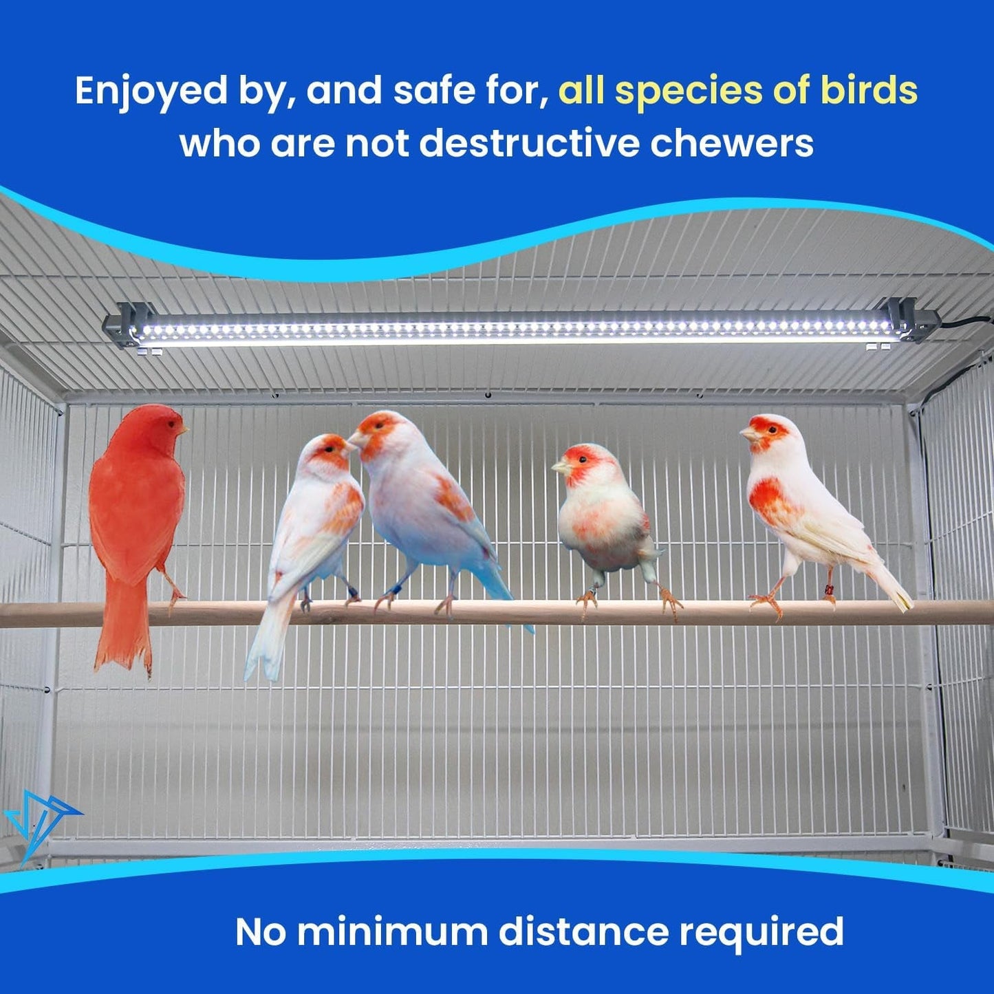 Illuminate Your Bird's World with the Happybird Full Spectrum LED Light - Safe, Easy-to-Install, and Perfect for Soft Bill Birds