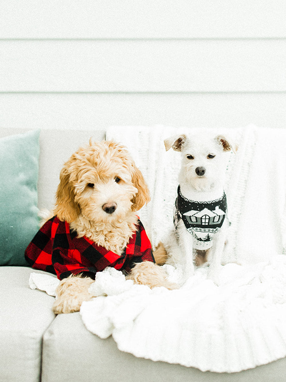 Cabin Sweater (Dog Sizes Only)