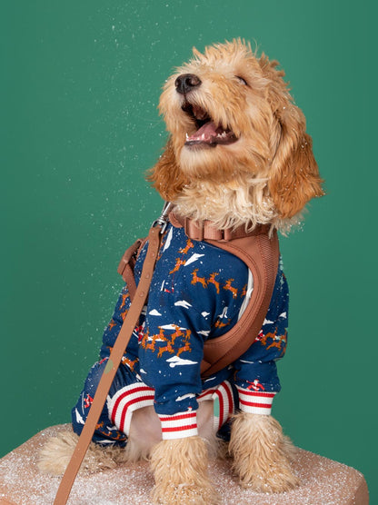 Santa Sleighs Pajama (Dog & Kid Sizes Only)