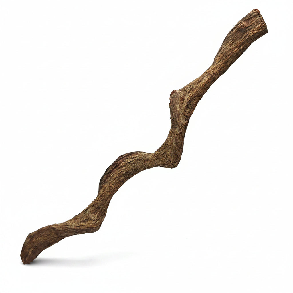 10" Natural Hardwood Liana Branch