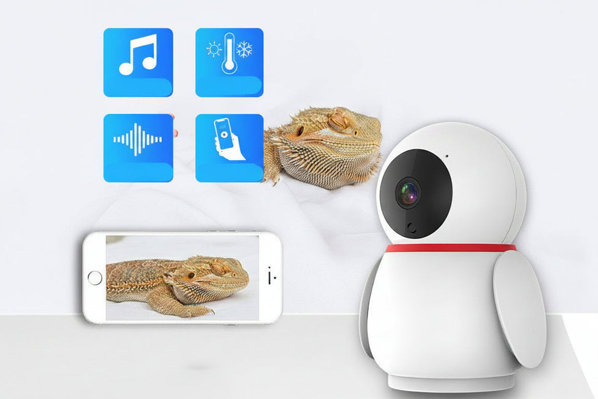 Little Penguin BMD228 Smart Terrarium Monitor & Climate Camera (1080p Full HD)