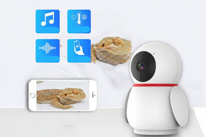 Little Penguin BMD228 Smart Terrarium Monitor & Climate Camera (1080p Full HD)