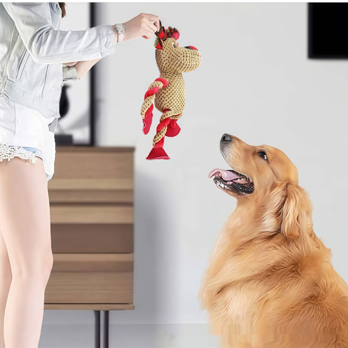 Teething And Dental-cleaning Pet Christmas Toy