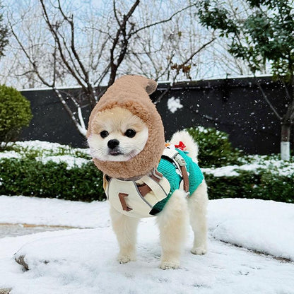 Cute Casual Winter Pet Hooded Hat