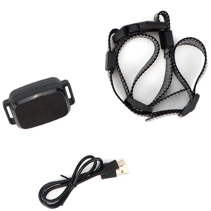 Digital Display Dog Training Collar.