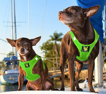 EcoBark Step In Dog Harness - XXXS to Small Breeds- Reflective Soft Mesh Harness for Teacup, Small Dogs and Puppies / Lime Green