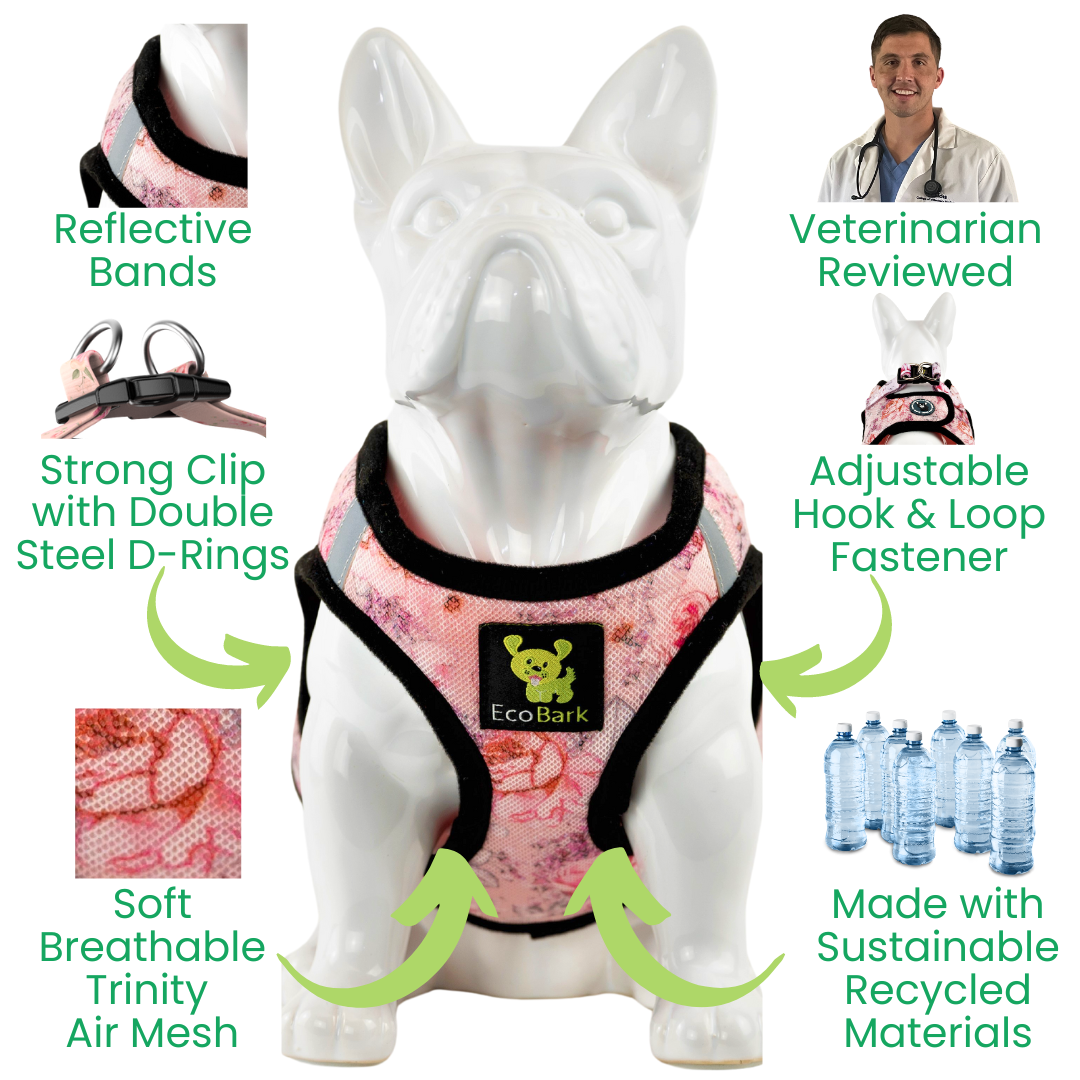 EcoBark Step In Dog Harness - XXXS to Small Breeds- Reflective Soft Mesh Harness for Teacup, Small Dogs and Puppies / French Floral