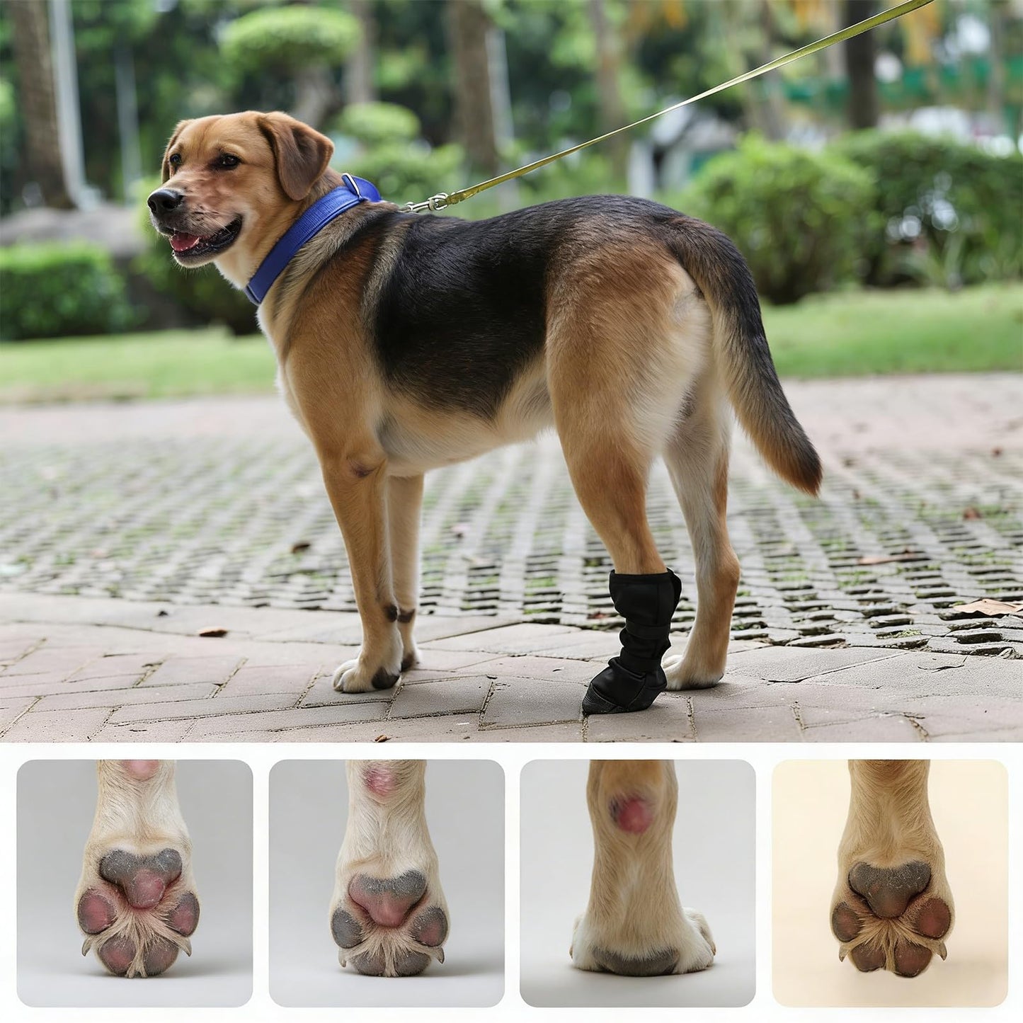 Dog Recovery Boot For Injured Paws - Breathable Dog Shoes With Non-Slip Sole & Self-Adhesive Strap, Dog Bootie To Protect Wounds From Licking, Dirt, And Infection - For Small To Medium Dogs