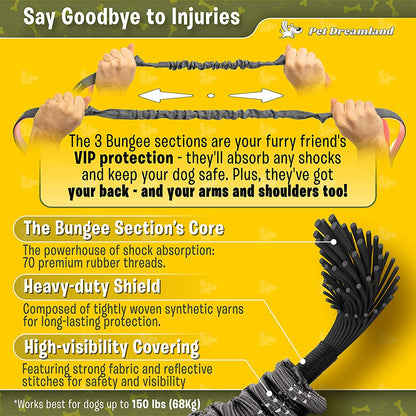 Exquisite Hands-Free Dog Leash for Large Dogs